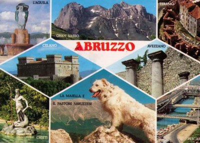 Abruzzo postcard picturing Maremma Sheepdog