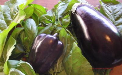 Eggplant and capscium