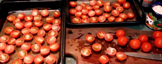 mini tomato day